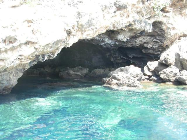 Appartamento Al Centro Di Ustica Isola di Ustica Eksteriør billede